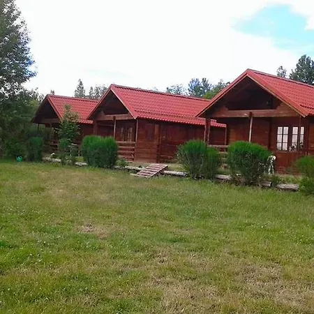 Primi Faggi