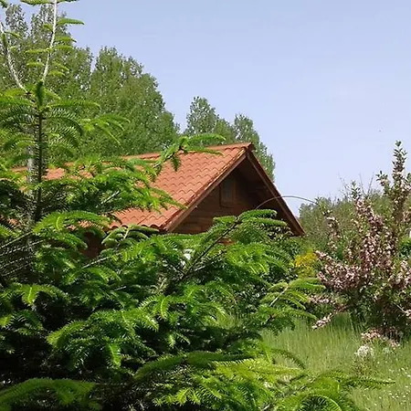 Village de vacances Primi Faggi Gambarie dʼAspromonte