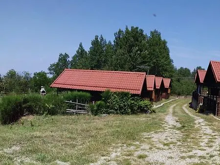 Primi Faggi Gambarie dʼAspromonte