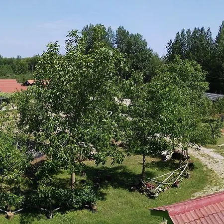 Primi Faggi Village de vacances
