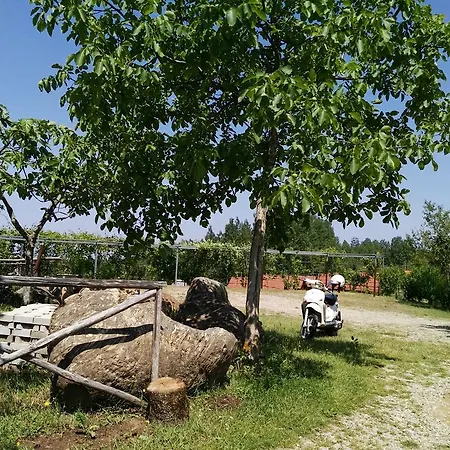 Primi Faggi Aldeamento Turístico Gambarie dʼAspromonte