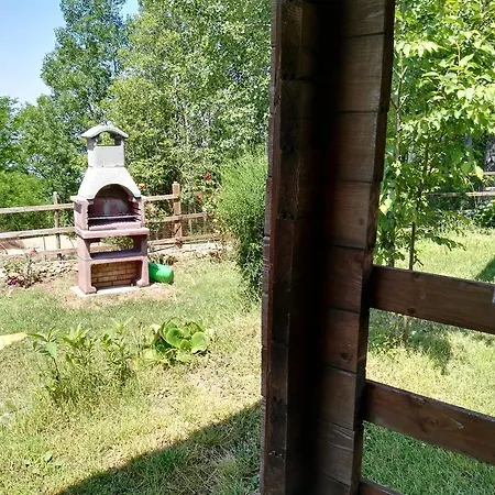 Primi Faggi * Gambarie dʼAspromonte