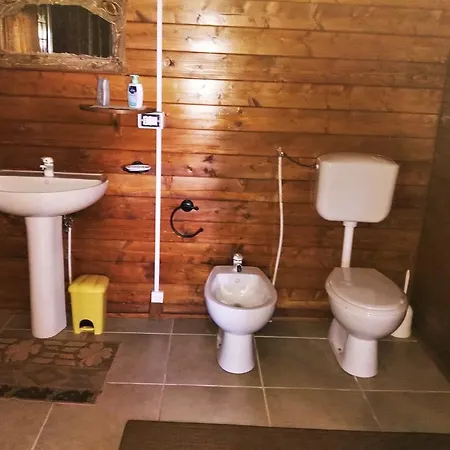 Primi Faggi
