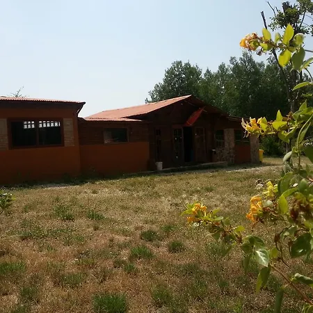 Primi Faggi * Gambarie dʼAspromonte