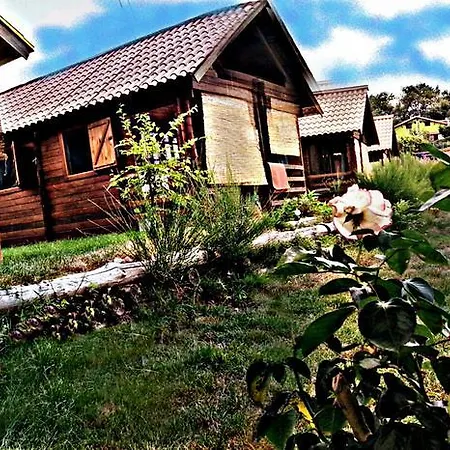 Primi Faggi Village de vacances *