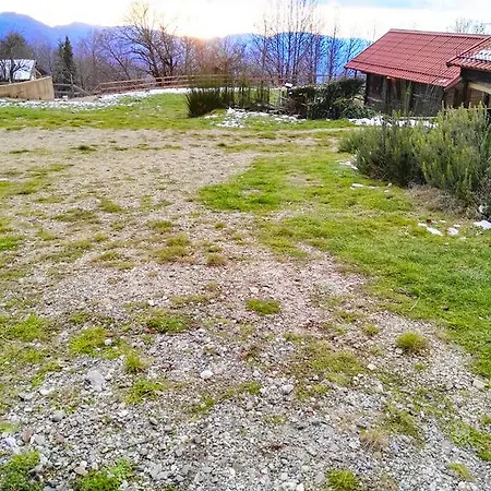 Primi Faggi Gambarie dʼAspromonte