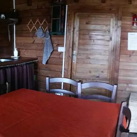 Primi Faggi