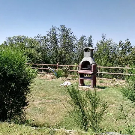 Primi Faggi Gambarie dʼAspromonte